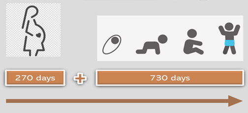 The first 1,000 days