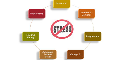 Nutrition strategies to modulate stress