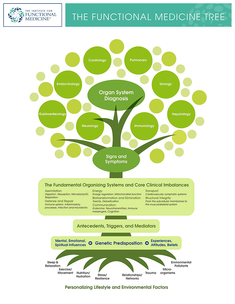 The functional medicine tree